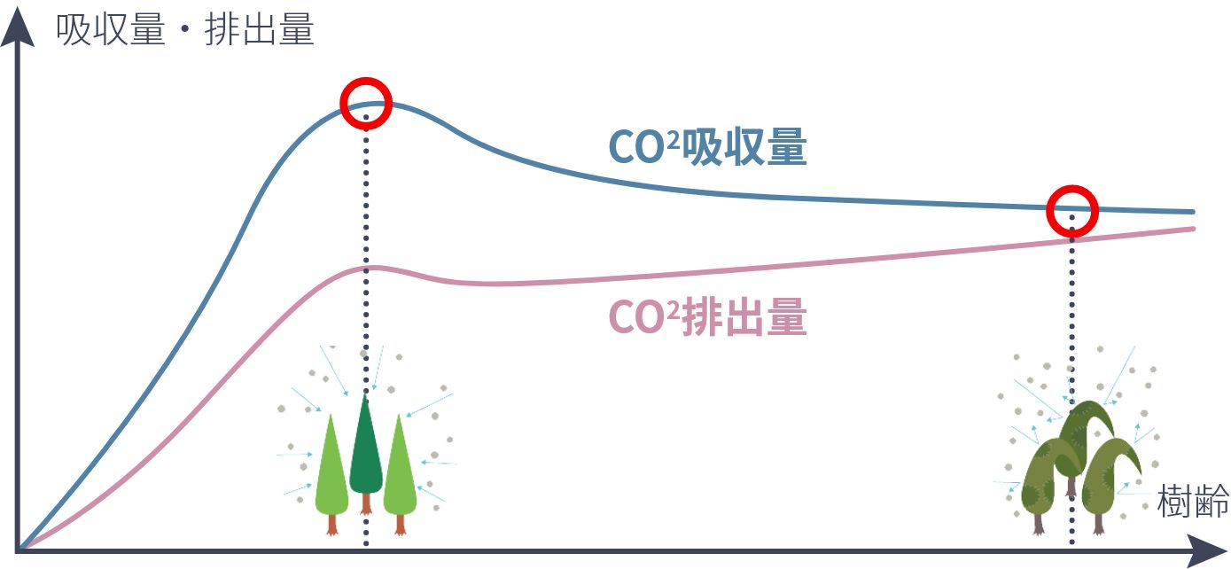 吸収量・排出量グラフ