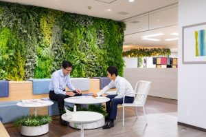 【事例あり】オフィスに観葉植物をレイアウトするだけでオフィスが変わる！６つのアイデア