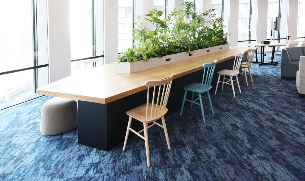 【事例あり】オフィスに観葉植物をレイアウトするだけでオフィスが変わる！６つのアイデア